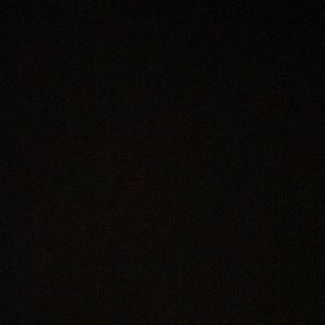 Meet your Posher, Lily-rose